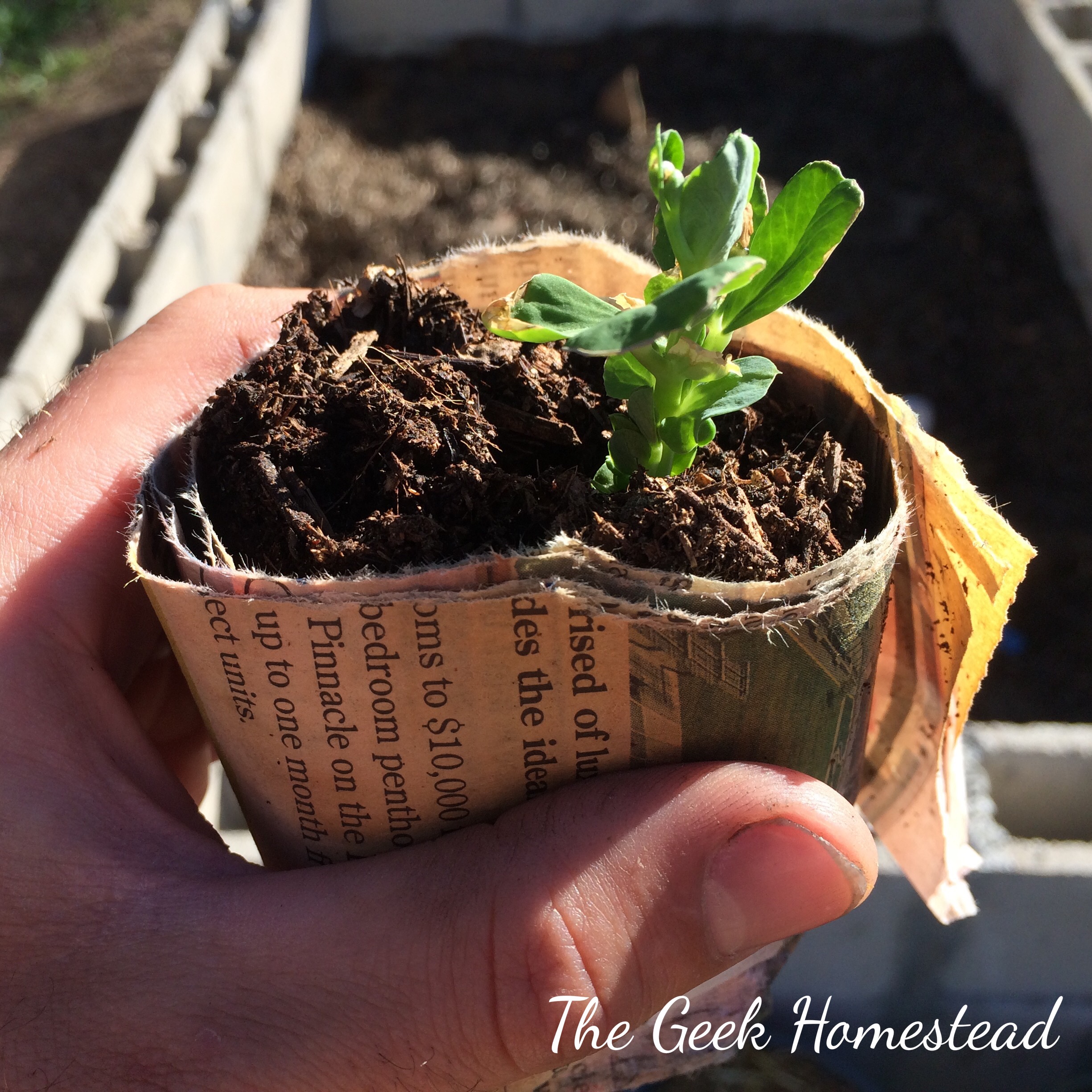 Read more about the article Newspaper Seed Starter Pots
