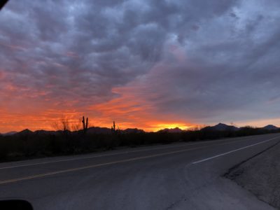 Read more about the article This Week on the Homestead. 01/12/20 – 01/18/20