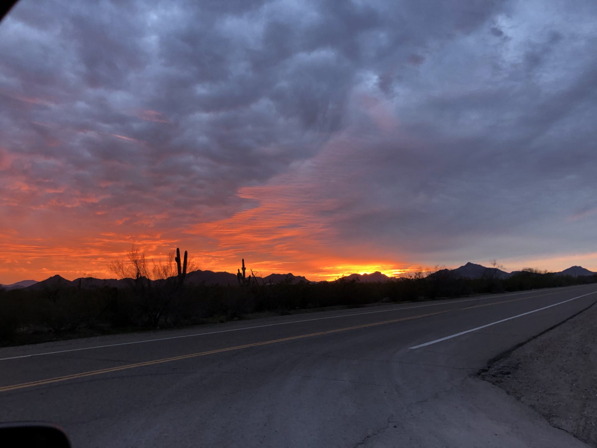 Read more about the article This Week on the Homestead. 01/12/20 – 01/18/20