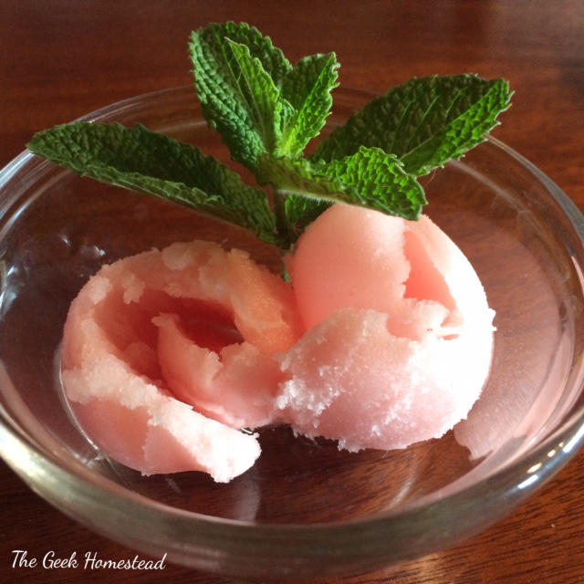 Read more about the article Watermelon Sorbet