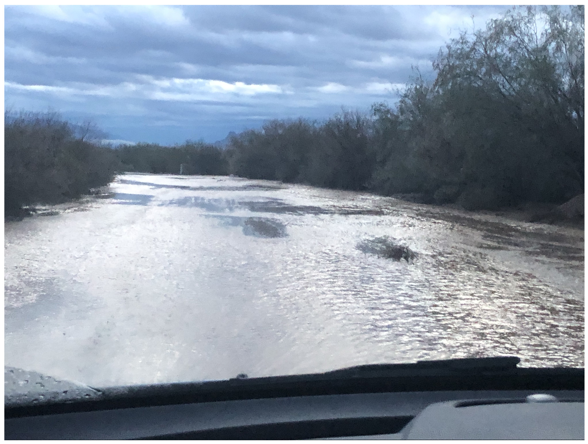 Read more about the article This Week on the Homestead. 12/08/2019 – 12/15/2019