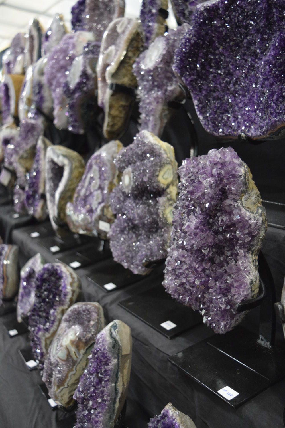 Read more about the article Tucson Gem, Mineral, and Fossil Showcase – 22nd Street