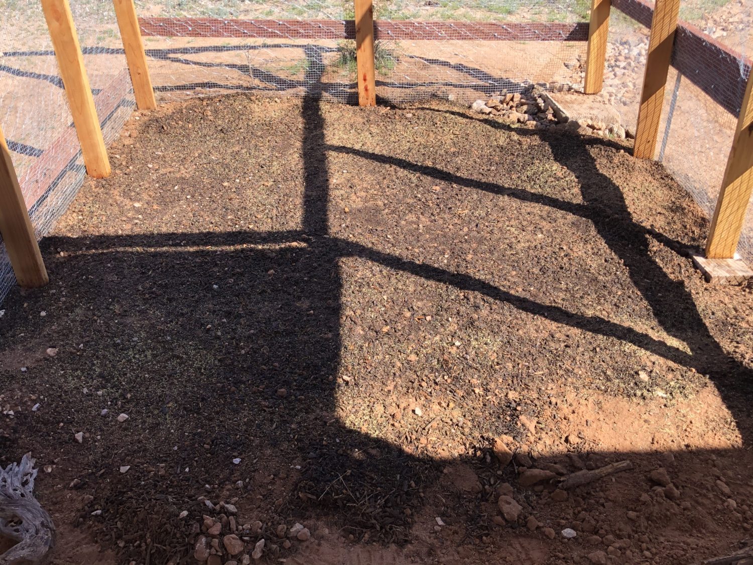 dirt with grass seeds