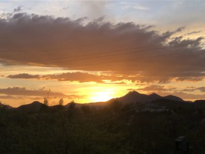 Read more about the article This Week on the Homestead. 04/05/20 – 04/11/20