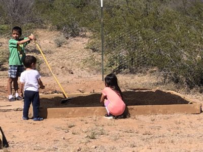 Read more about the article This Week on the Homestead. 03/29/20 – 04/04/20