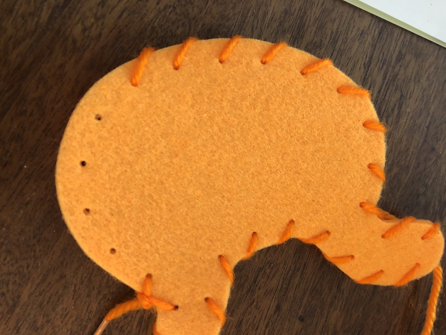 Kiwico Kiwi Crate My Body and Me The Geek Homestead