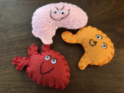 Read more about the article Kiwico Kiwi Crate: My Body and Me