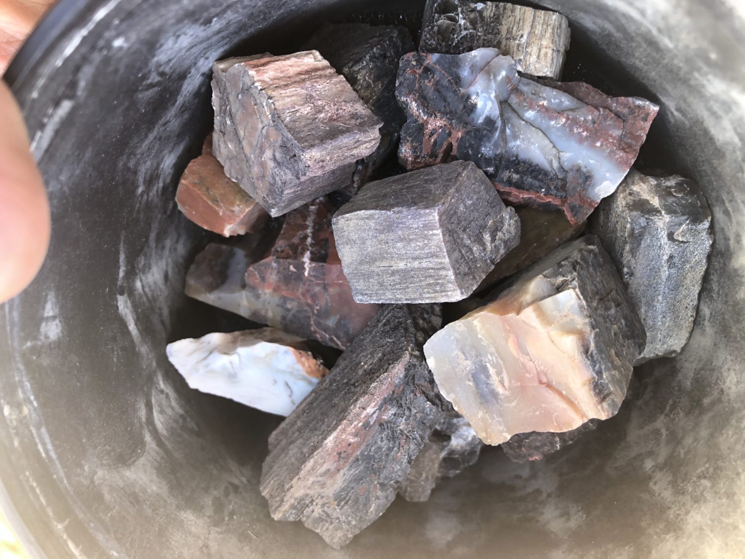 rough petrified wood