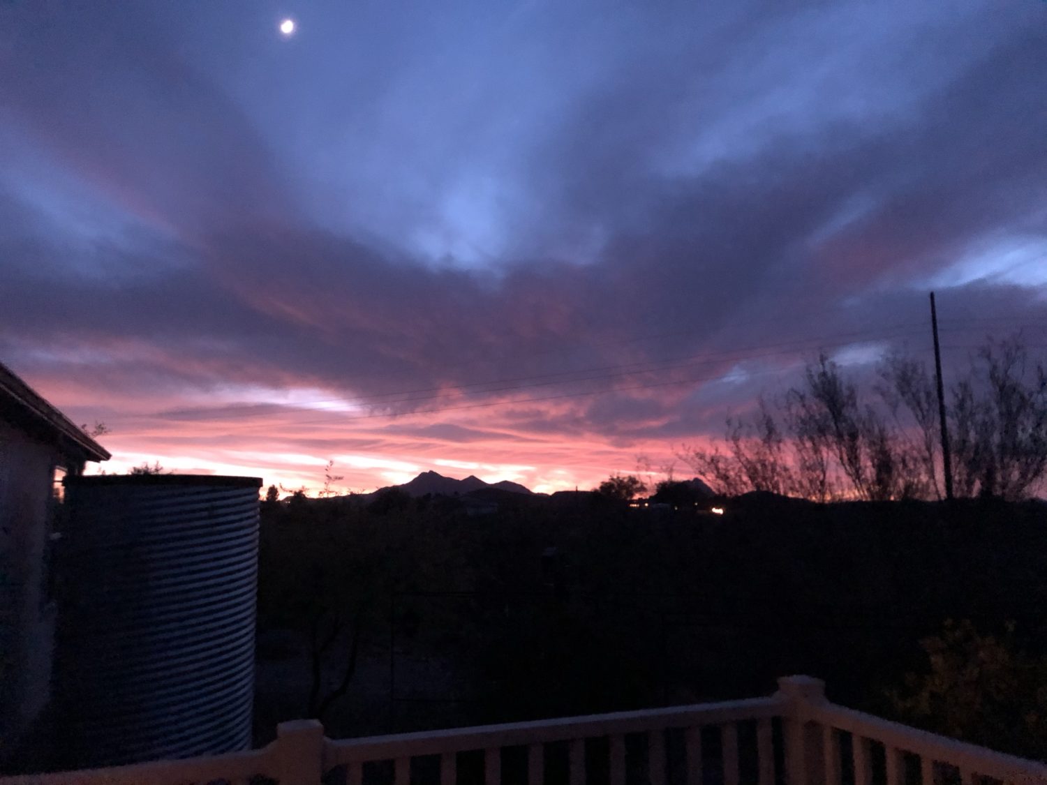 Read more about the article This Week on the Homestead 6/21 – 6/27/2020