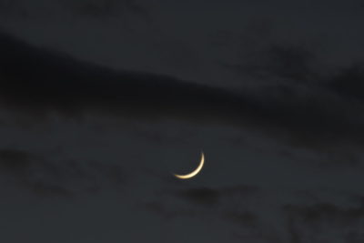 Read more about the article This Week on the Homestead July 19 – 25, 2020