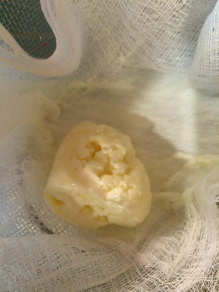 Read more about the article Making Butter in a Baby Food Jar