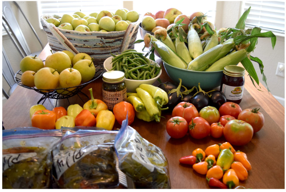 Read more about the article Family Fun at Apple Annie’s Orchard