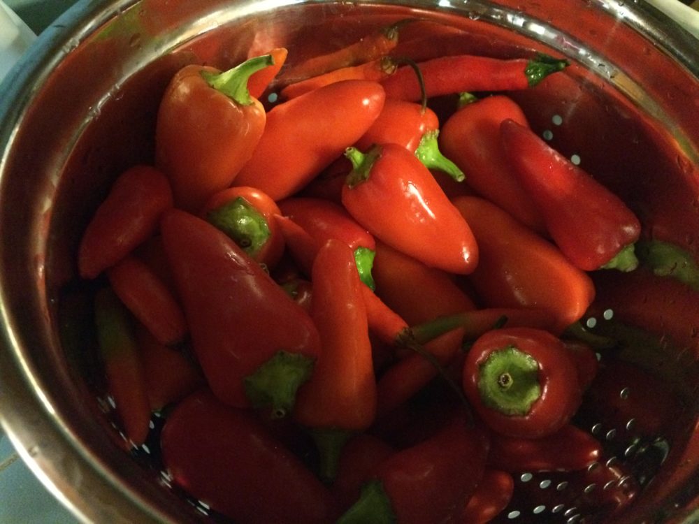 Read more about the article Making Our Own Hot Sauce
