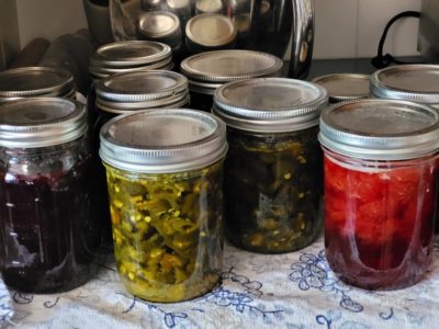 Read more about the article Let’s Can Some Jam!