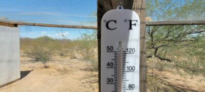 thermometer showing 120 degrees Fahrenheit.